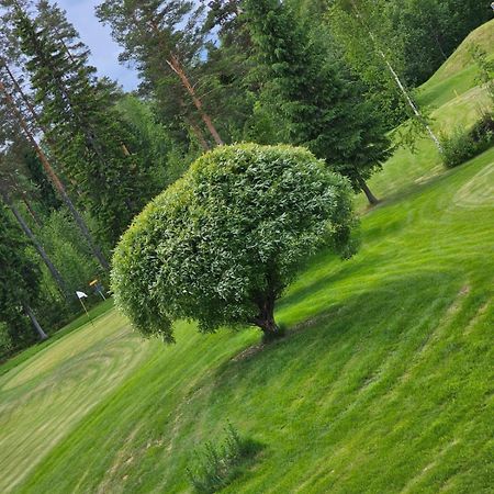 Kesaeaitat Hotel Ähtäri Eksteriør billede