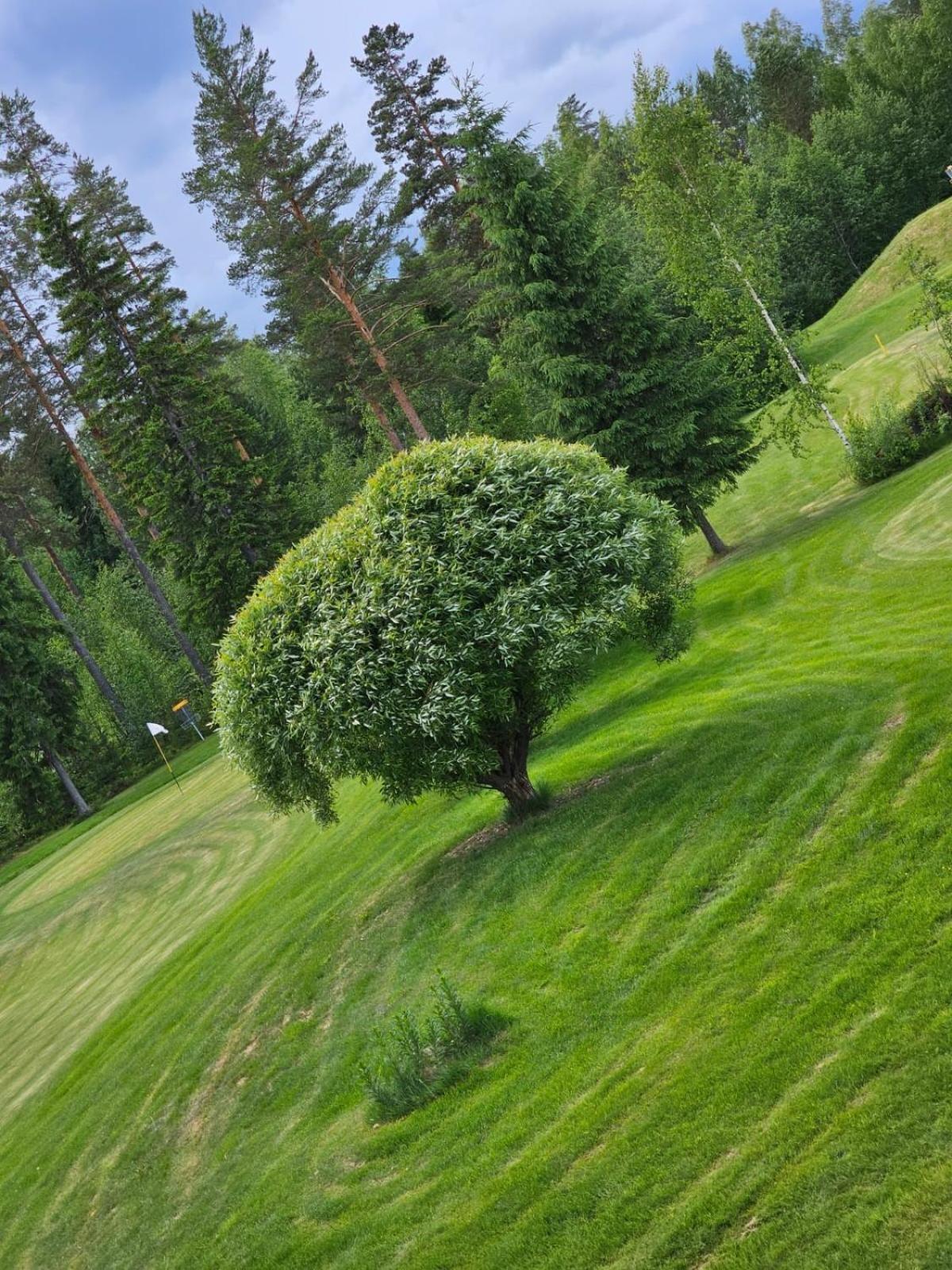 Kesaeaitat Hotel Ähtäri Eksteriør billede